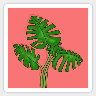 Monstera Plant Sticker